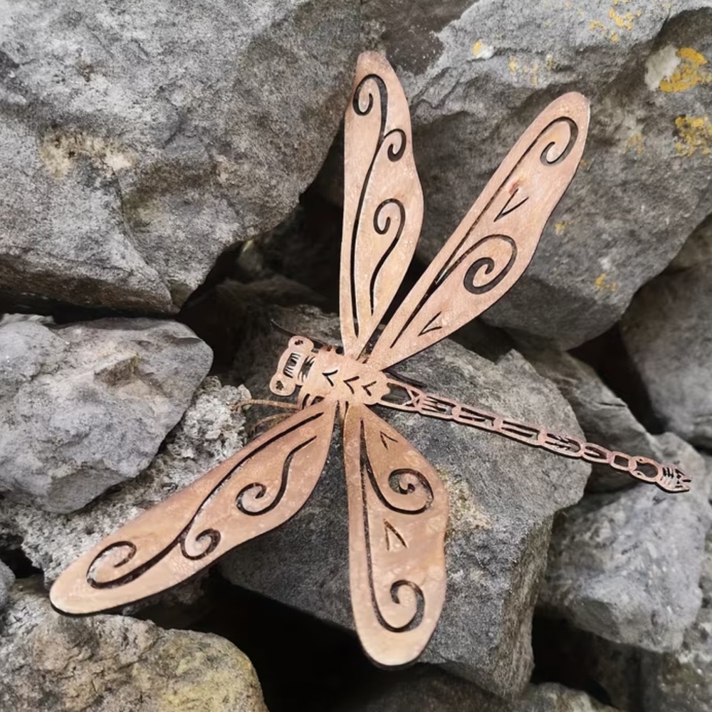 Dragonfly - Picture 3 of 8